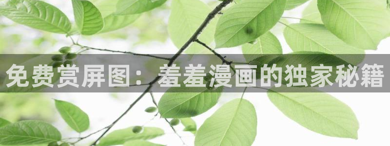 lovestage漫画免费阅读：免费赏屏图：羞羞漫画的独家秘籍