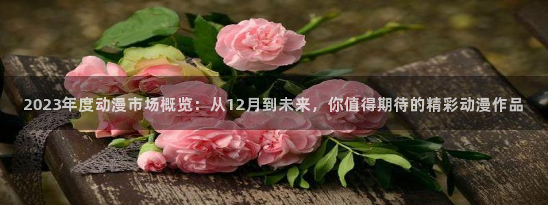 age专注动漫的门户网站：2023年度动漫市场概览：从12月到未来，你值得期待的精彩动漫作品