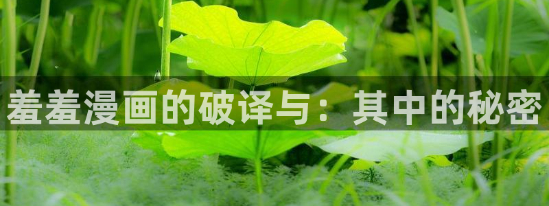 lovestage漫画免费阅读：羞羞漫画的破译与：其中的秘密
