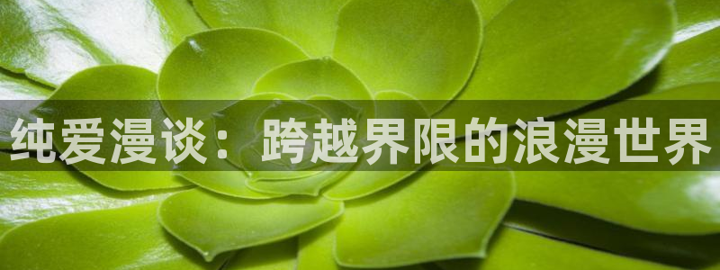 动漫之家官网版入口：纯爱漫谈：跨越界限的浪漫世界