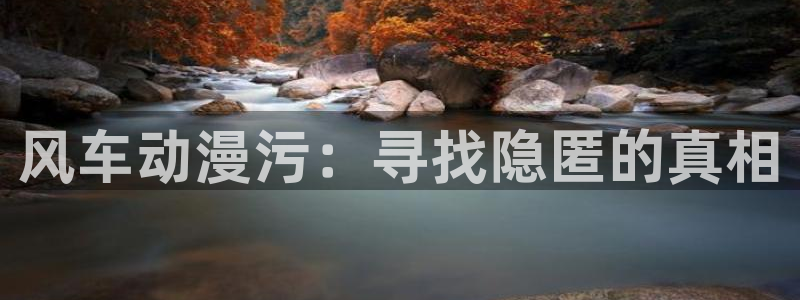 age漫画网：风车动漫污：寻找隐匿的真相