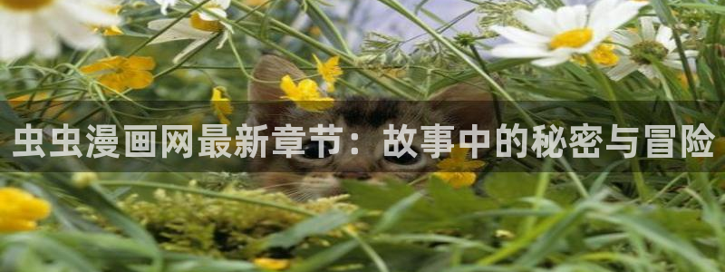 kakaopage韩漫官网：虫虫漫画网最新章节：故事中的秘密与冒险