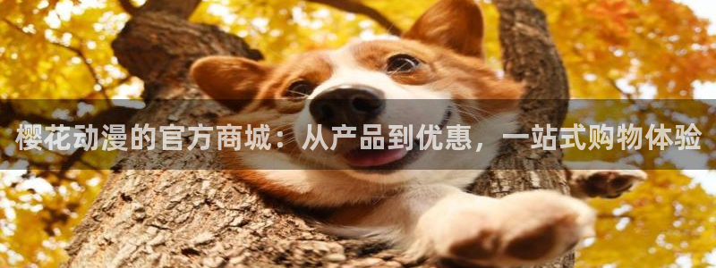 动漫之家下载网：樱花动漫的官方商城：从产品到优惠，一站式购物体验