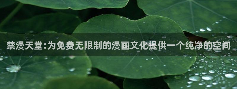 动漫之家网下载：禁漫天堂:为免费无限制的漫画文化提供一个纯净的空间