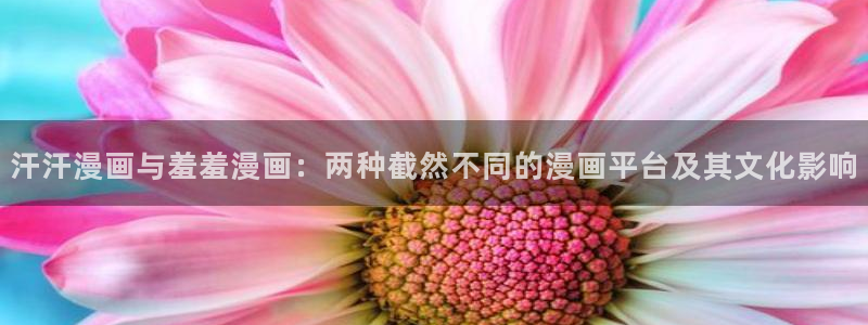 在线动画动漫下载动漫之家：汗汗漫画与羞羞漫画：两种截然不同的漫画平台及其文化影响