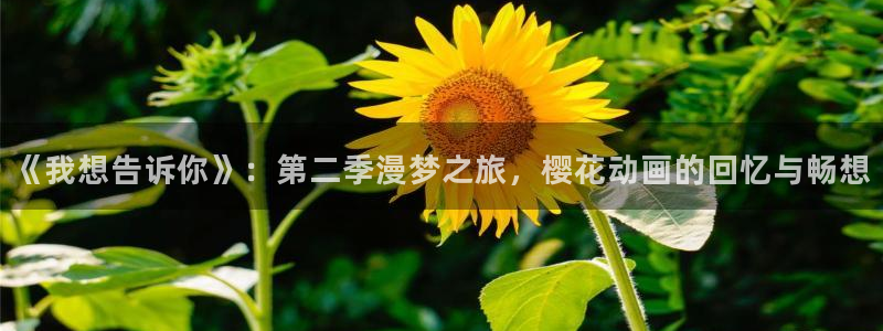 动漫之家网官网入口：《我想告诉你》：第二季漫梦之旅，樱花动画的回忆与畅想