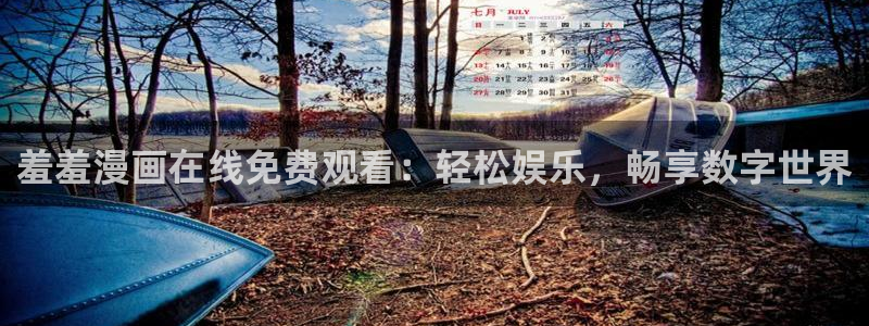 动漫之家omofun：羞羞漫画在线免费观看：轻松娱乐，畅享数字世界