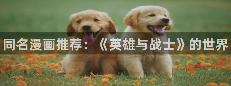 动漫之家下载动漫全免费：同名漫画推荐：《英雄与战士》的世界