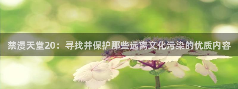 动漫之家官网樱花动漫：禁漫天堂20：寻找并保护那些远离文化污染的优质内容
