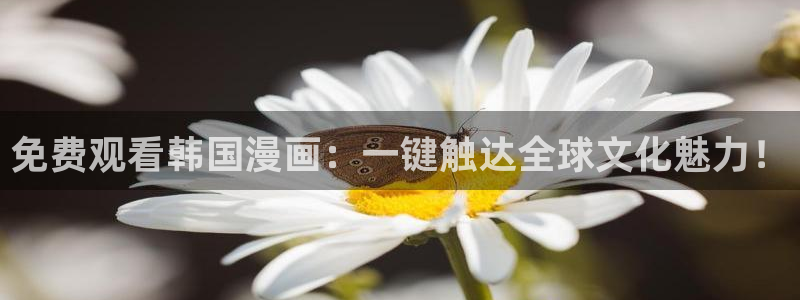动漫之家官网版入口：免费观看韩国漫画：一键触达全球文化魅力！
