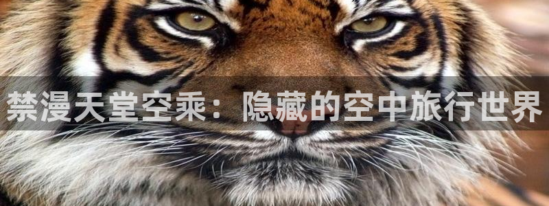 backstage韩漫免费观看：禁漫天堂空乘：隐藏的空中旅行世界