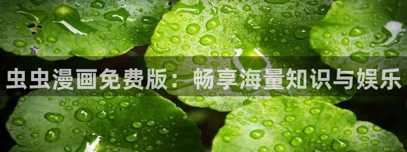 backstage韩漫免费观看：虫虫漫画免费版：畅享海量知识与娱乐