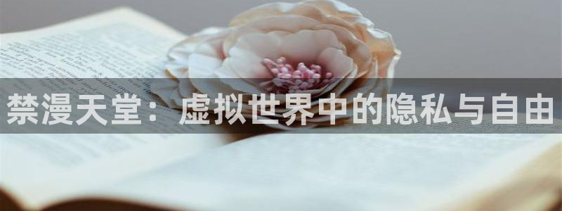 动漫之家网下载：禁漫天堂：虚拟世界中的隐私与自由