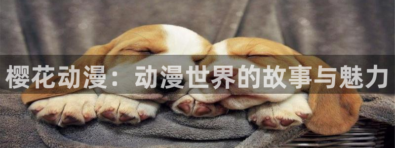动漫之家网上看：樱花动漫：动漫世界的故事与魅力