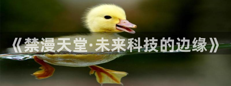 managereader漫画官网入口：《禁漫天堂·未来科技的边缘》