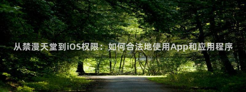 拷贝漫画 copymanager.ory网站：从禁漫天堂到iOS权限：如何合法地使用App和应用程序