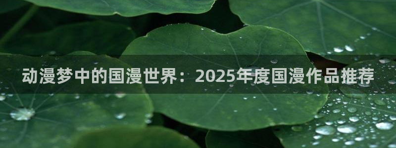 动漫之家官网网址：动漫梦中的国漫世界：2025年度国漫作品推荐