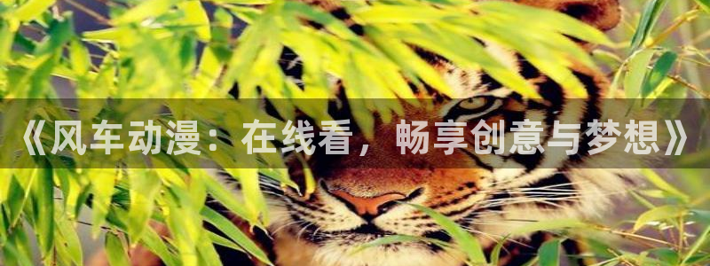 动漫之家官网版入口：《风车动漫：在线看，畅享创意与梦想》