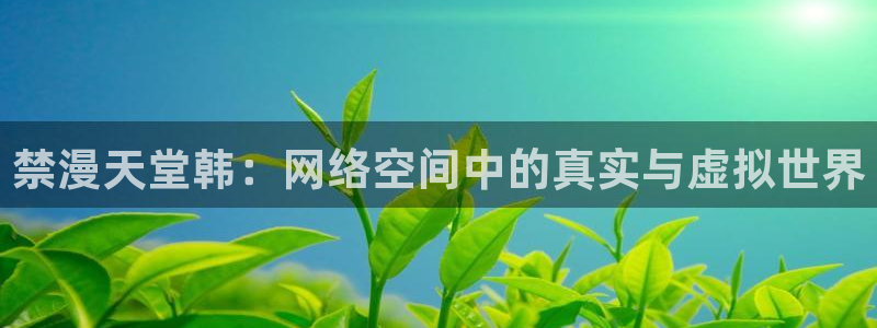 动漫之家网官网入口：禁漫天堂韩：网络空间中的真实与虚拟世界