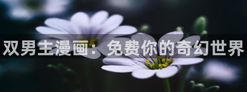 动漫之家：双男主漫画：免费你的奇幻世界